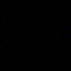 Meet your Posher, Gavin